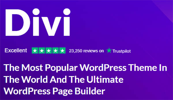 See How Divi Take Your WordPress Website to the Next Level
